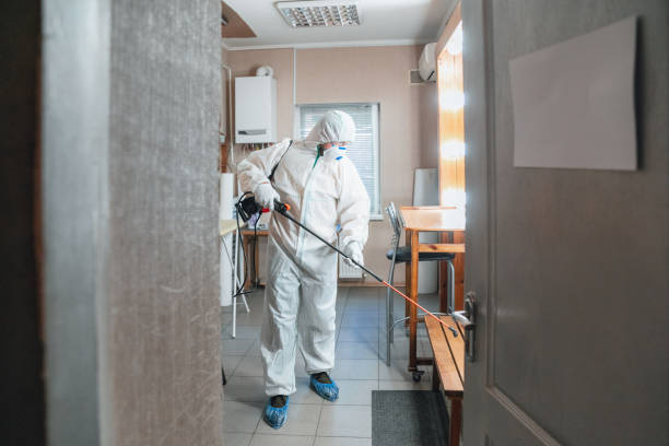 Best Forensic Mold Investigation  in Maple Plain, MN