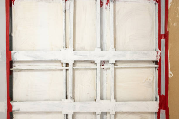 Best Environmental Consulting for Mold Prevention  in Maple Plain, MN