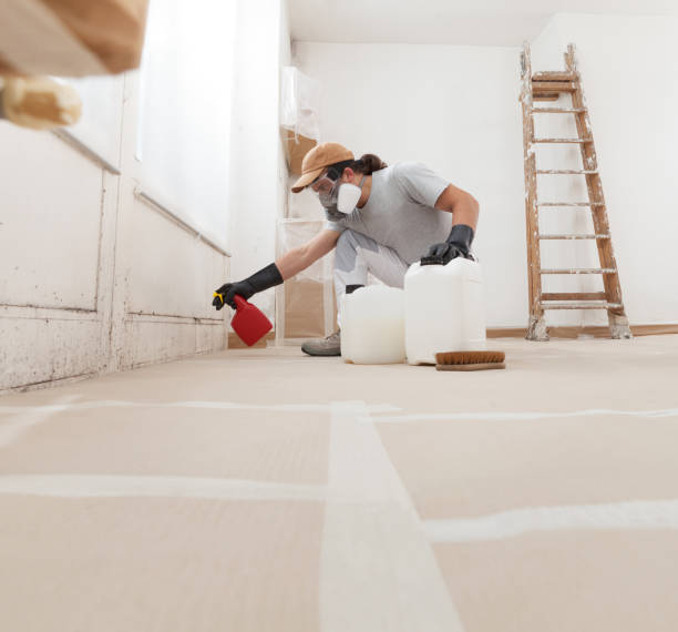Forensic Mold Investigation in Maple Plain, MN
